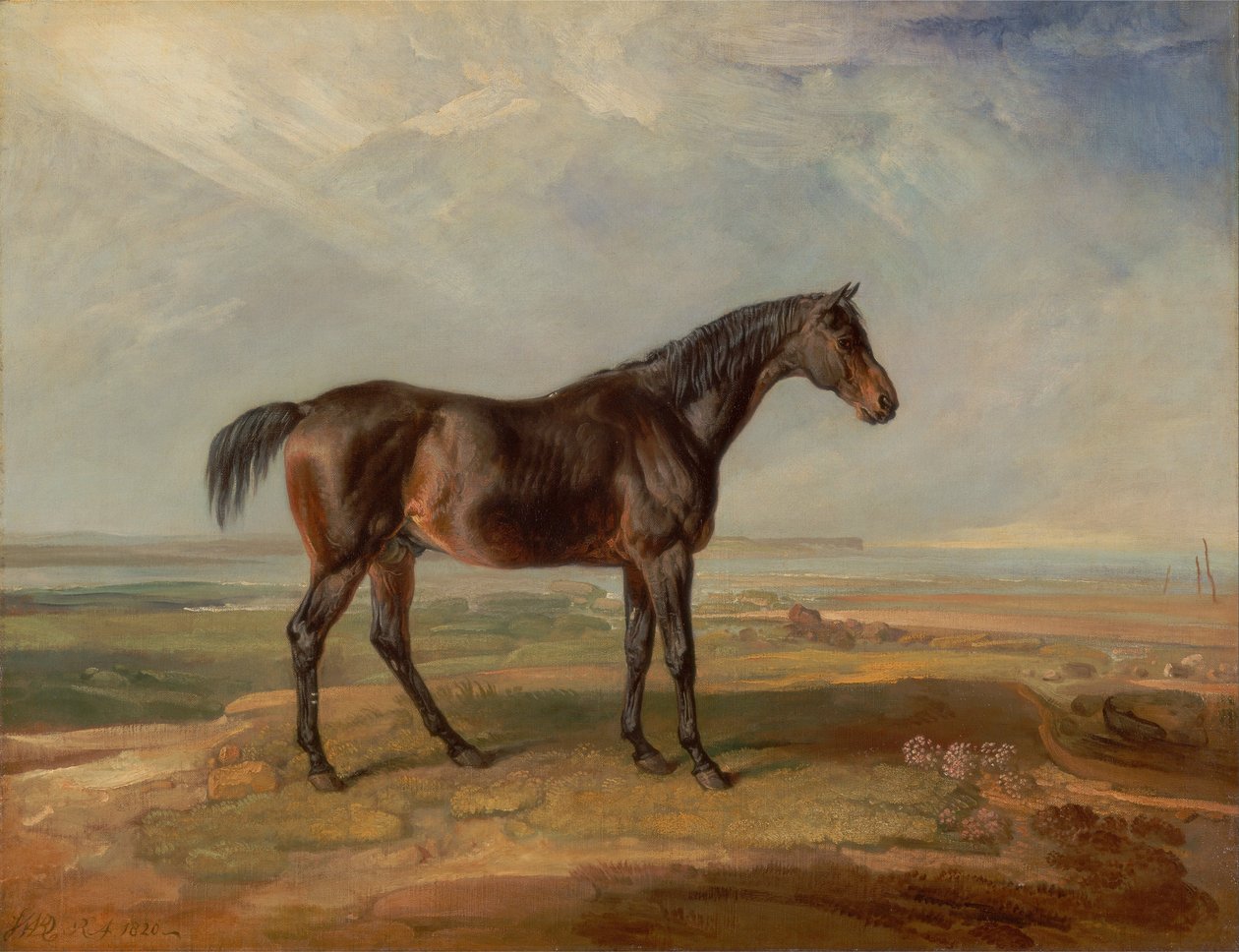 Dr. Syntax, un caballo de carreras bayo, de pie en un paisaje costero, con un estuario al fondo de James Ward