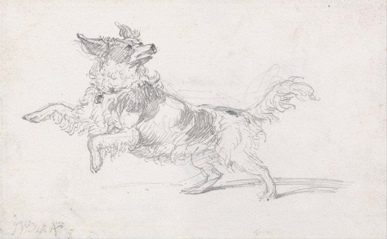 El Perro de Lady Londonderry de James Ward