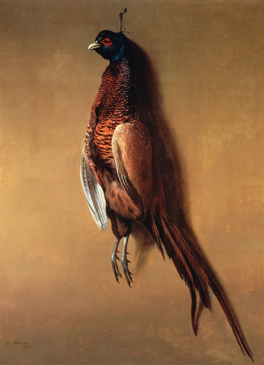 Faisán colgante, 1822 de James Barenger