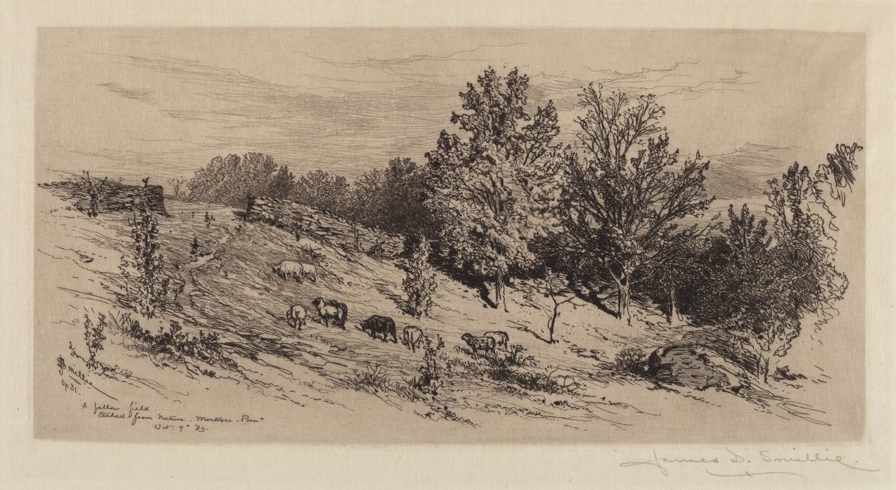 Un campo en barbecho de James David Smillie