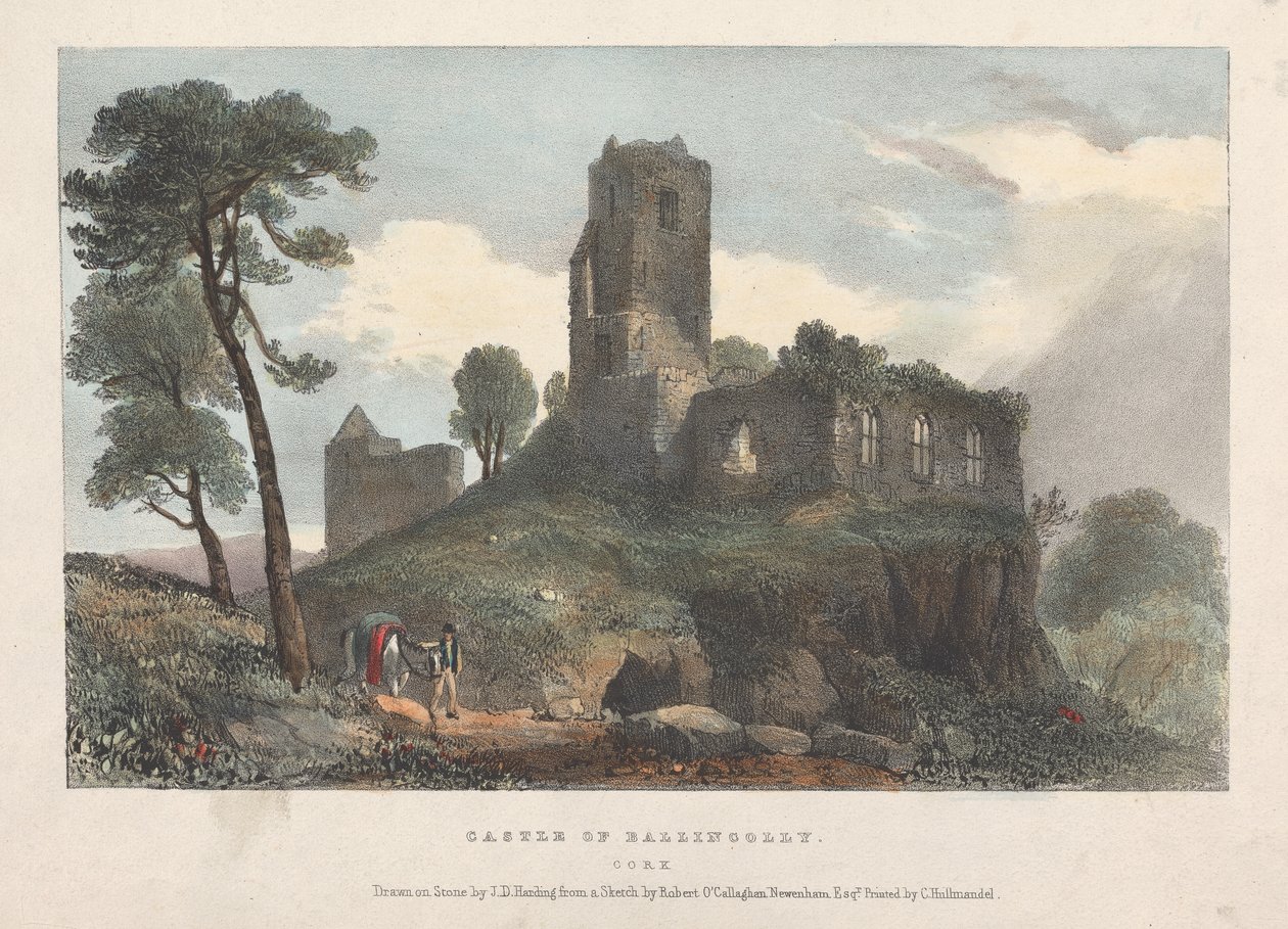 Castillo de Ballincolly de James Duffield Harding