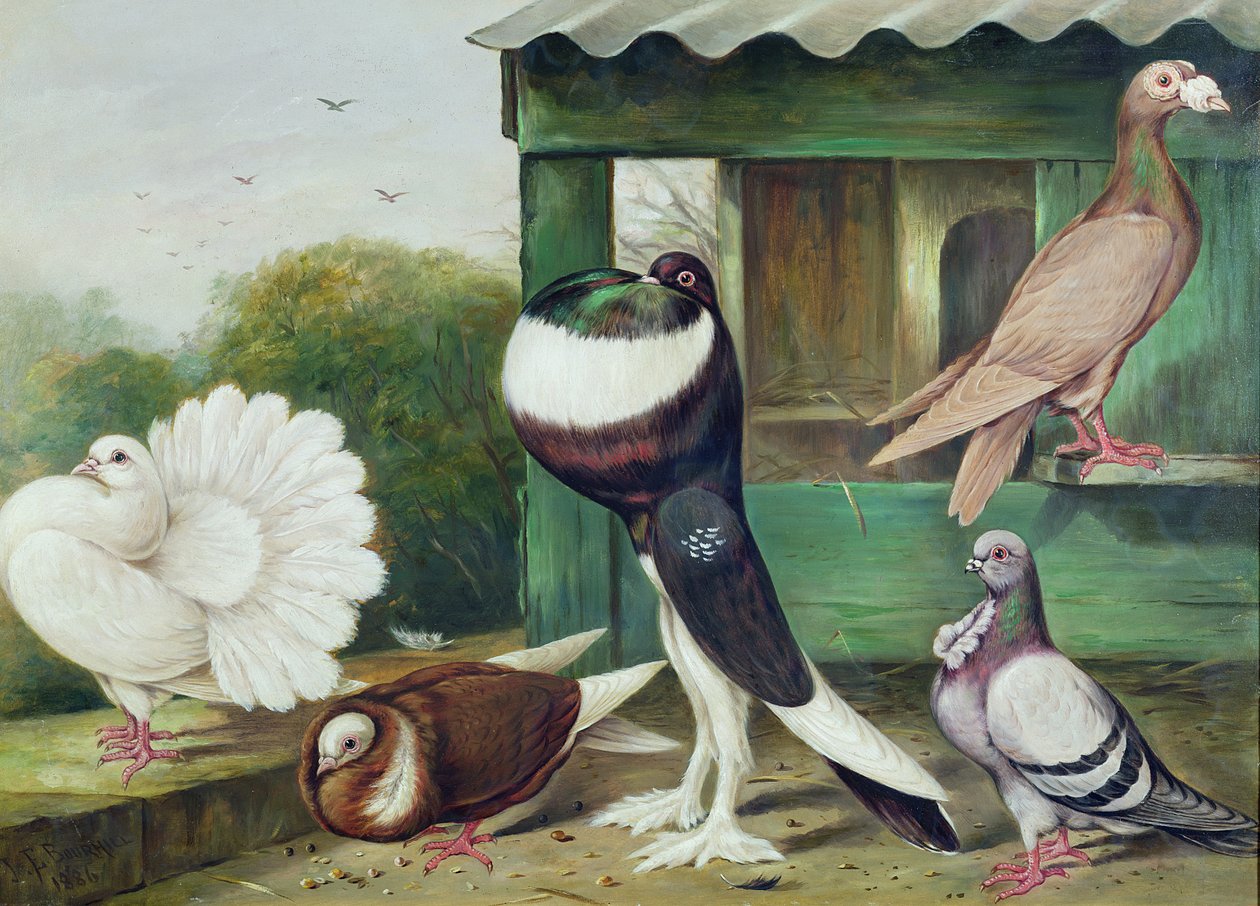 Imagen desconocida de James E. Bourhill