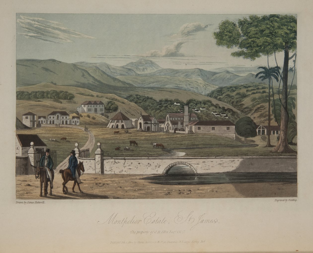 Montpelier Estate, St. James