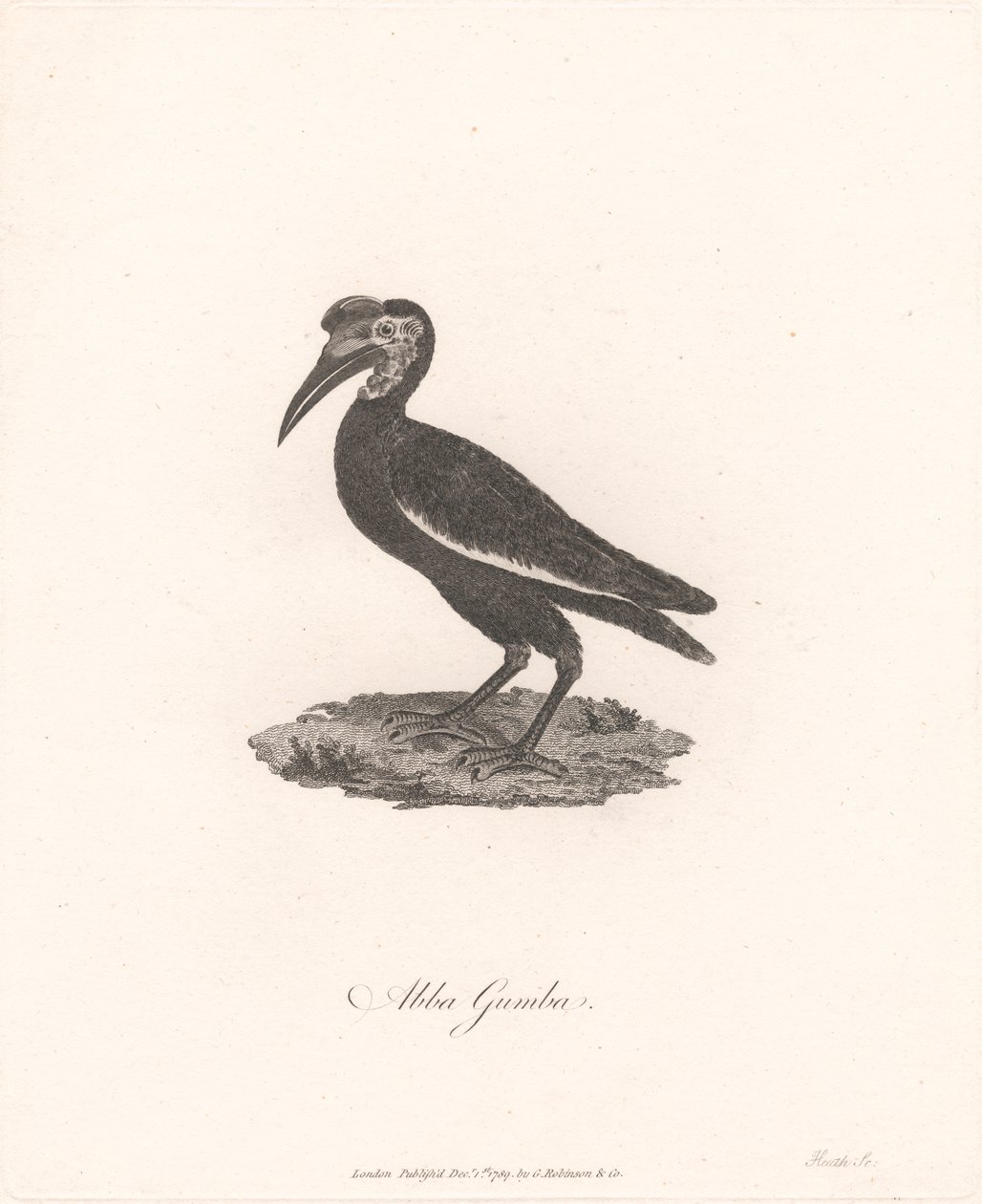 Abba Gumba de James Heath