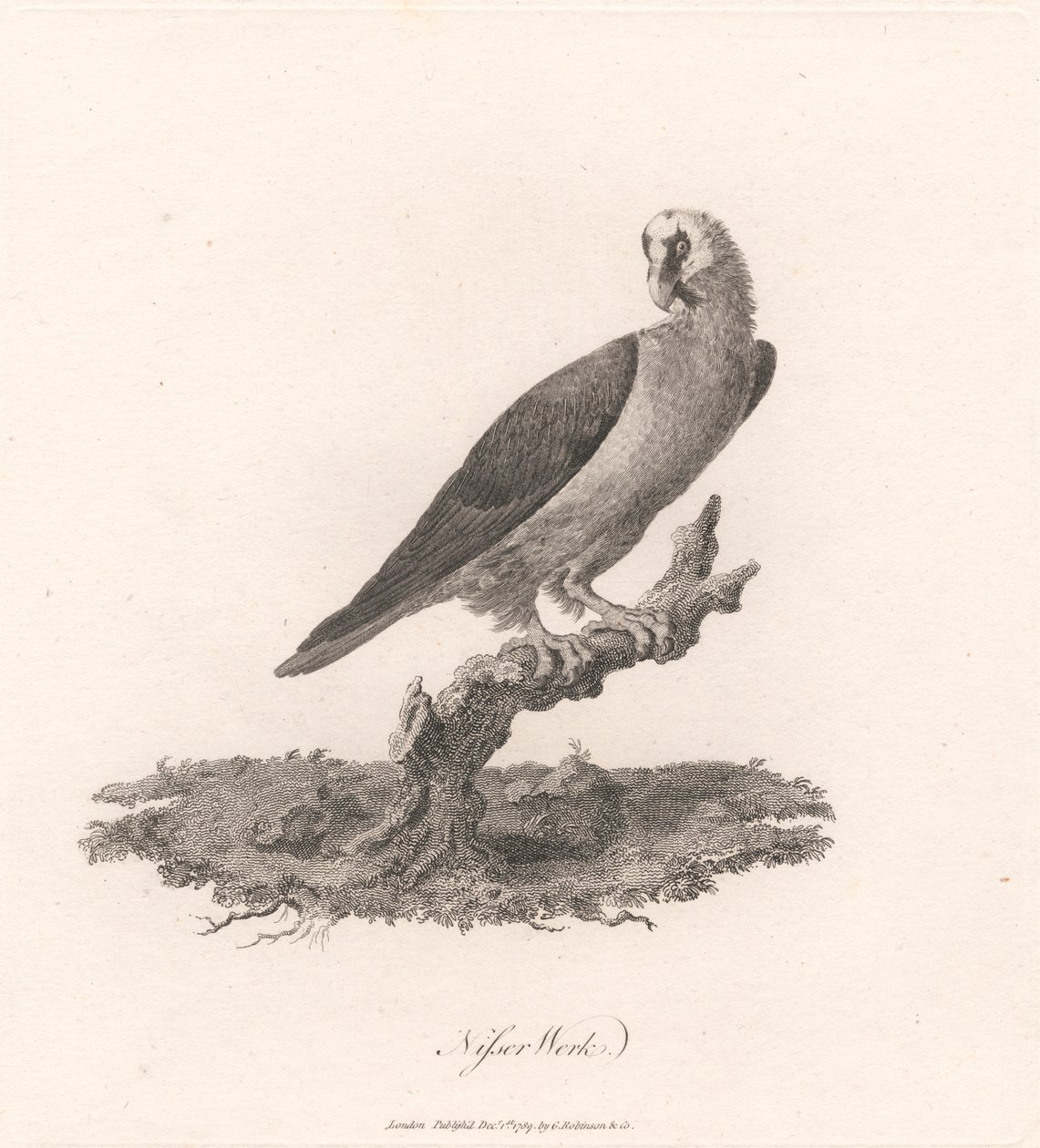 Fábrica Nisser de James Heath