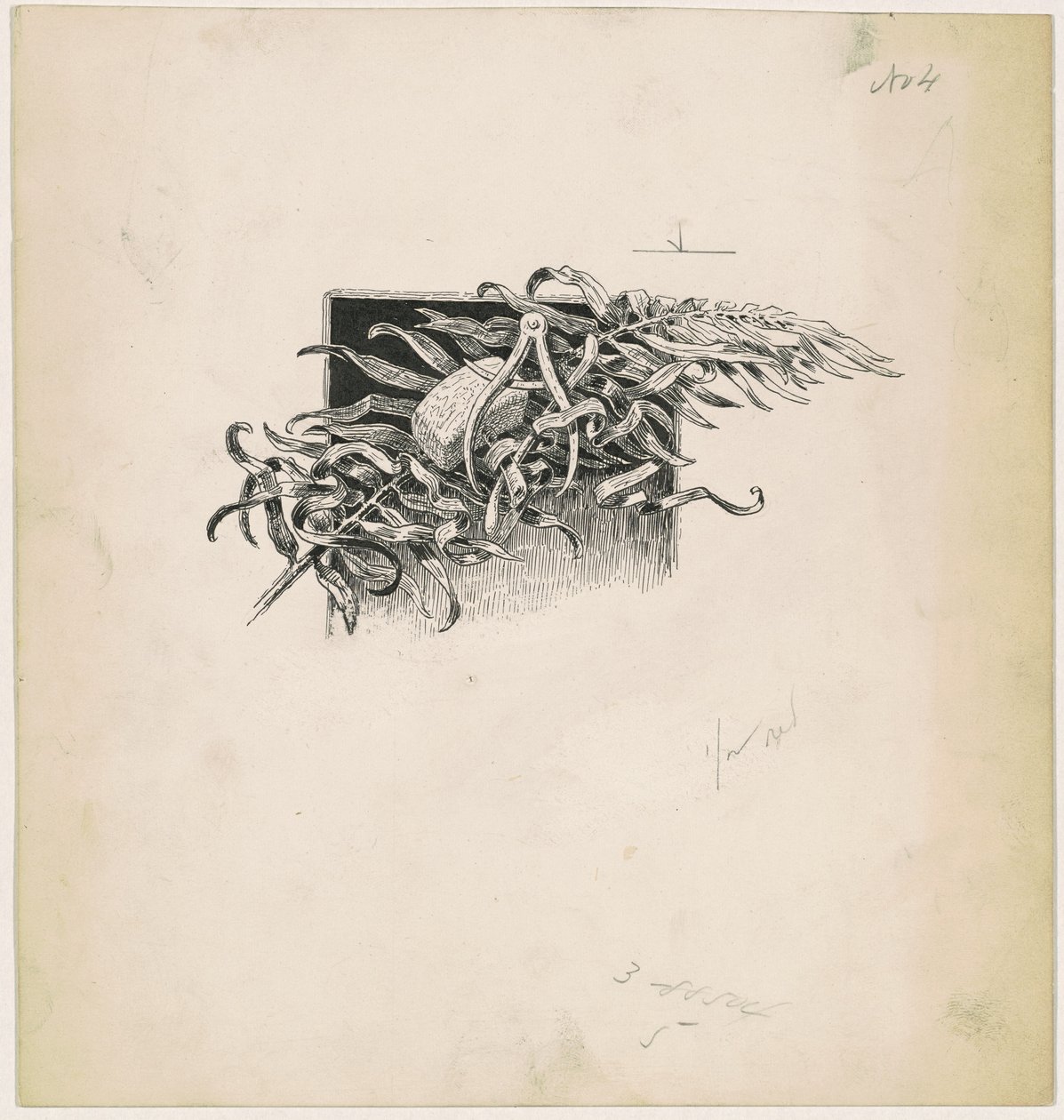 Martillo y compás de James Henry Moser
