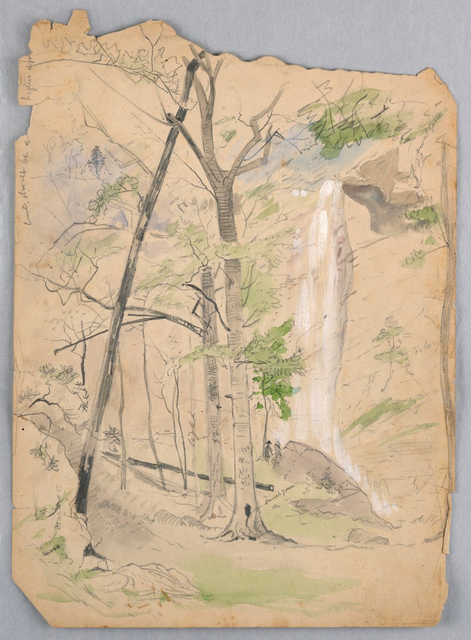Cascada de James Henry Moser