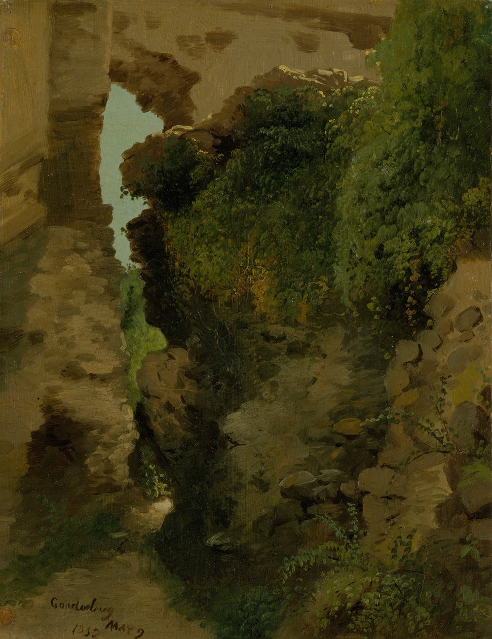 Godesberg de James McDougal Hart