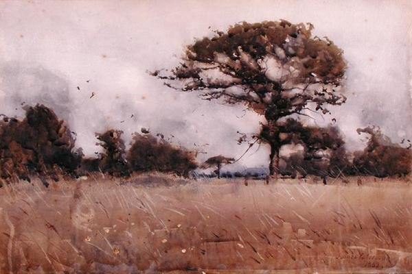 Viento de James Paterson