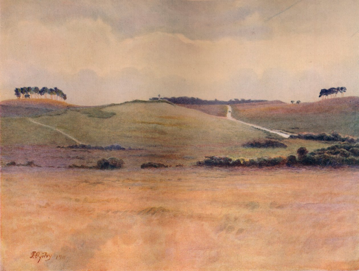Chobham Common de James S Ogilvy