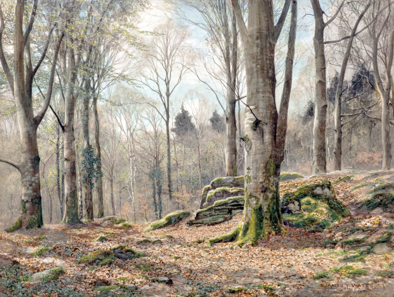 Un bosque galés (acuarela) de James Thomas Watts
