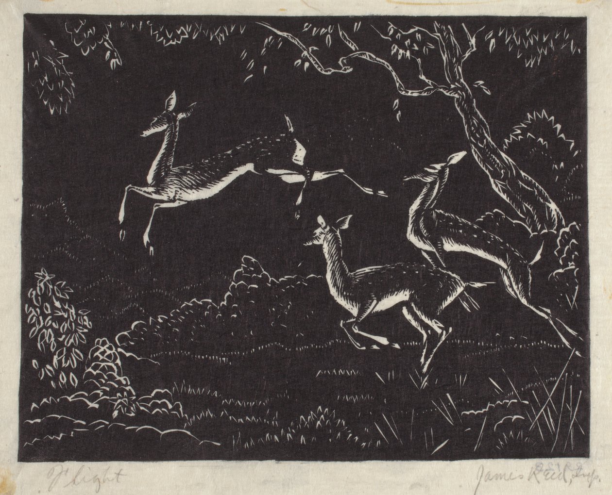 Vuelo (xilografía) de James W. Reid