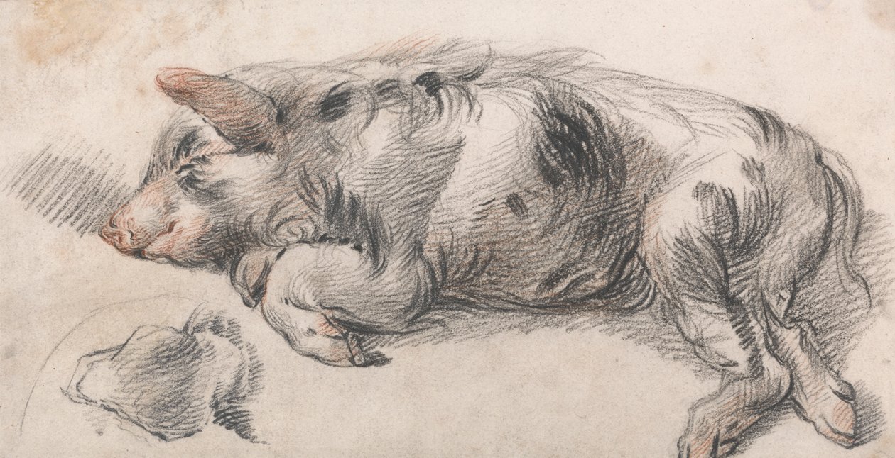 Cerdo dormilón de James Ward