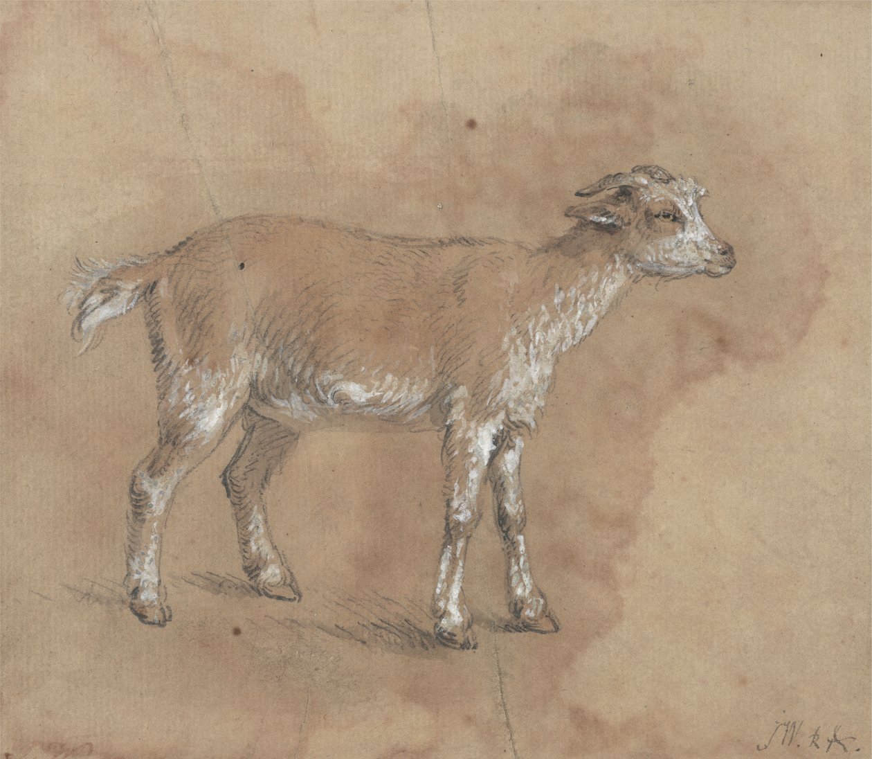 Estudio de un niño de James Ward