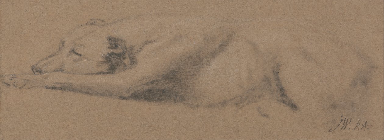 Estudio de un perro dormido de James Ward