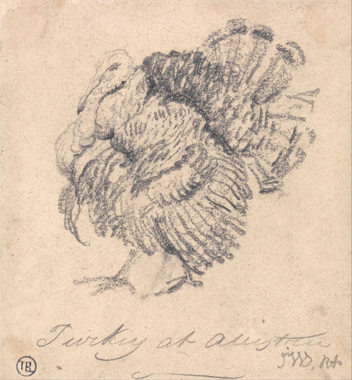 Estudio de un pavo de James Ward