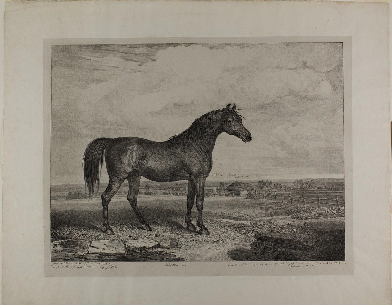 Walton de James Ward