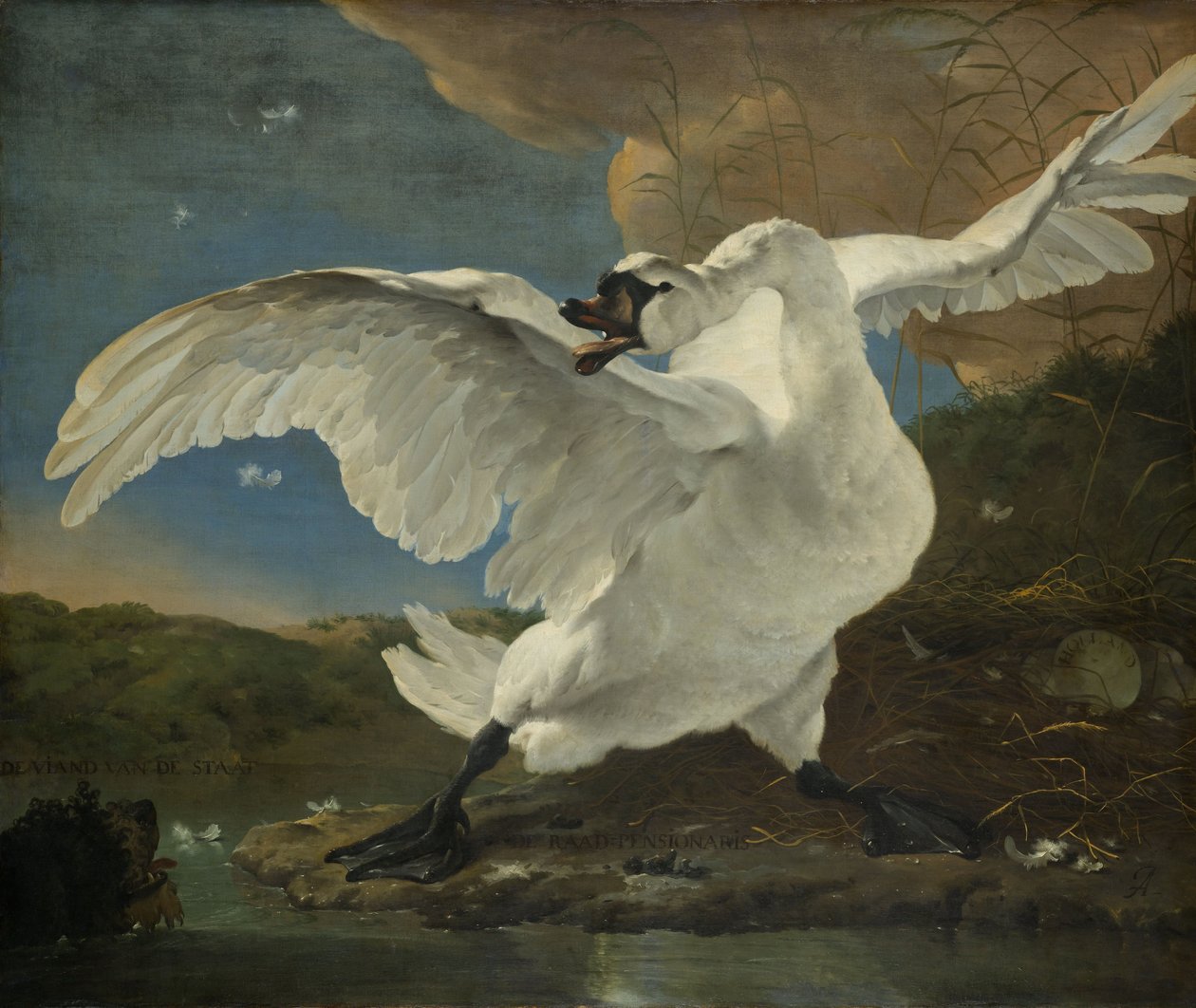 El cisne amenazado de Jan Asselijn