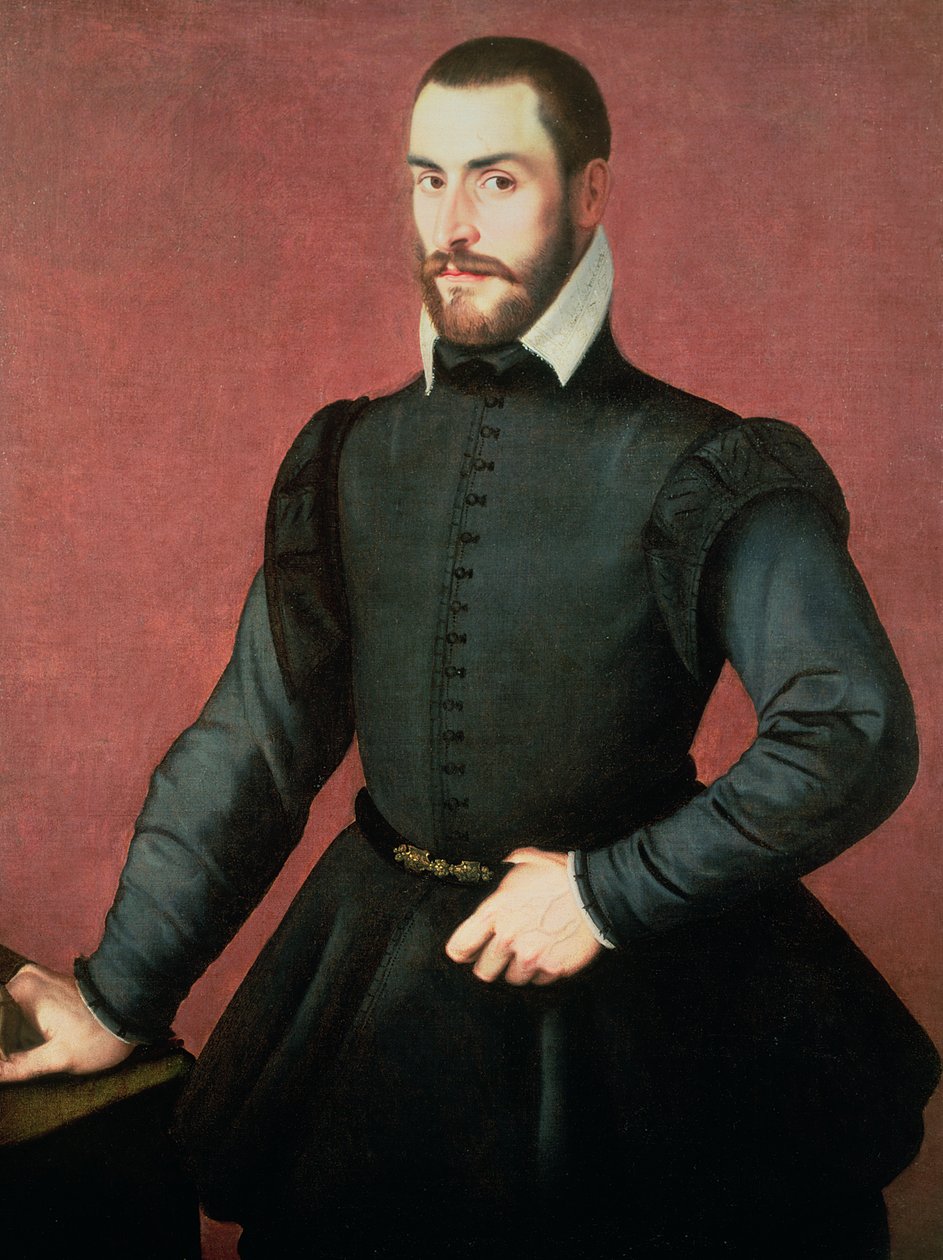 Retrato de un Joven en un Interior de Jan Stephen van Calcar