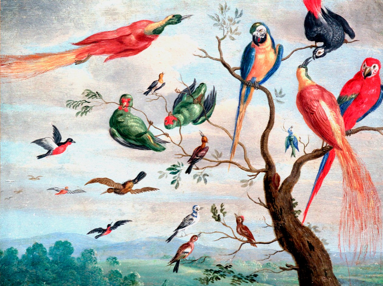 El Coro de los Pájaros, c.1650-1675 de Jan Thomasz. van Kessel