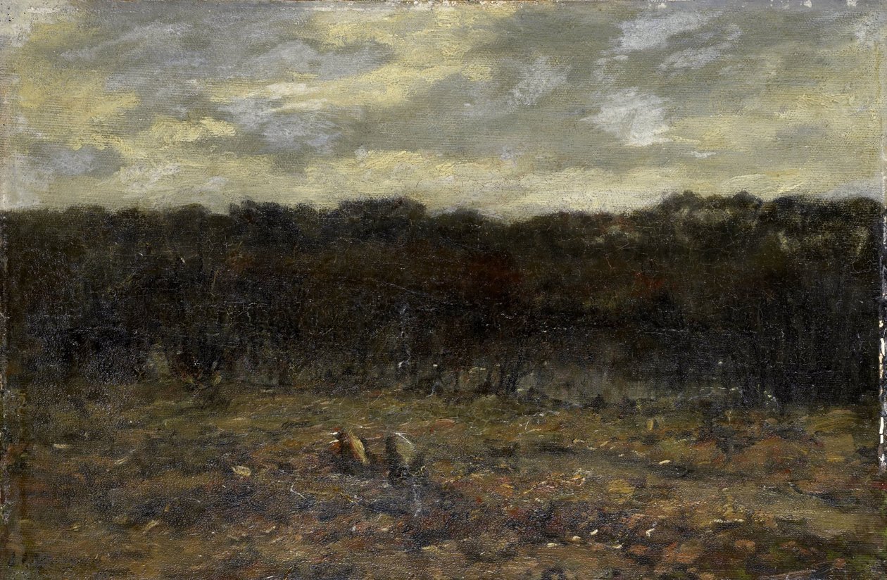 Ciénaga en los páramos de Jan Adam Zandleven