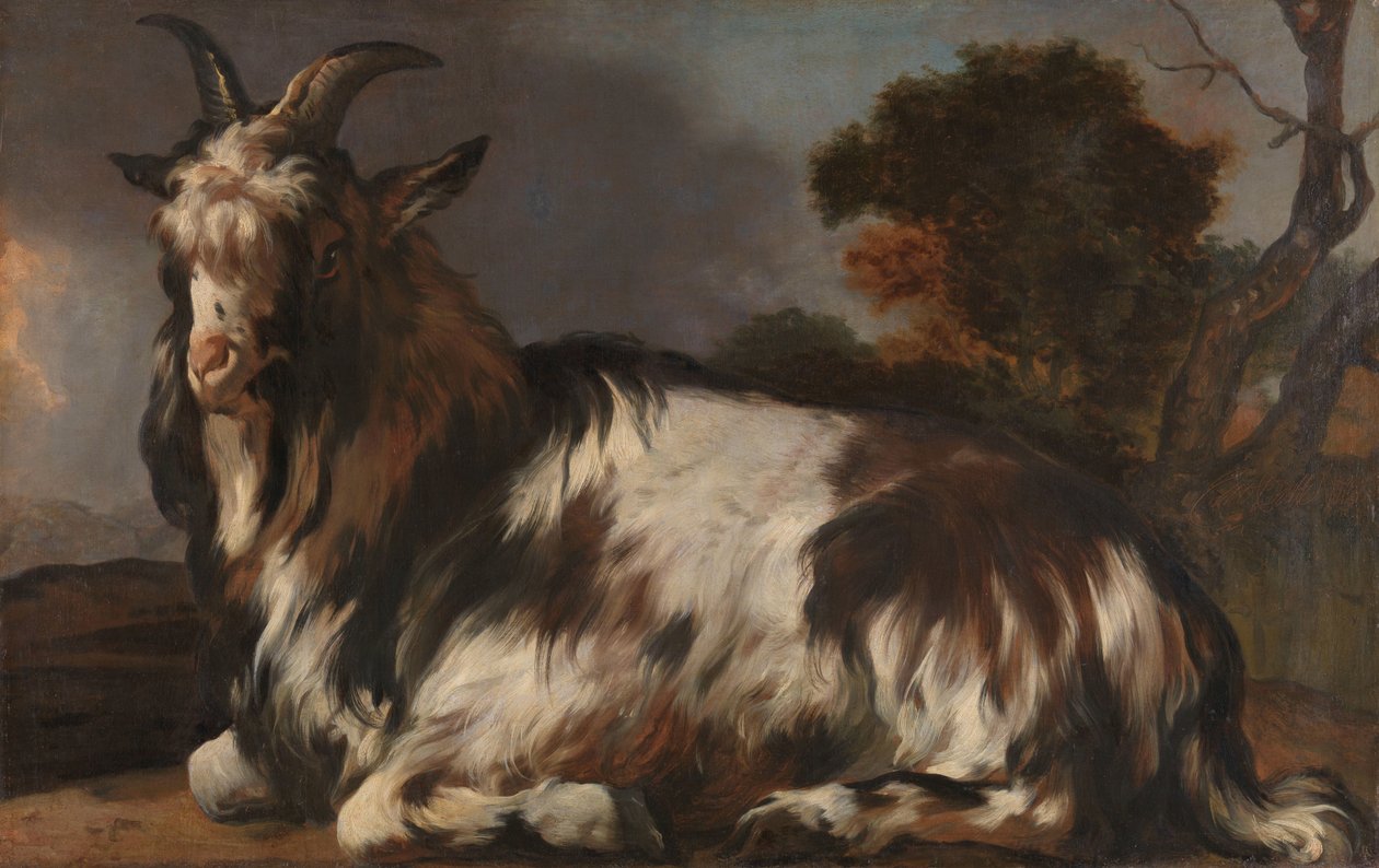 Cabra tumbada de Jan Baptist Weenix