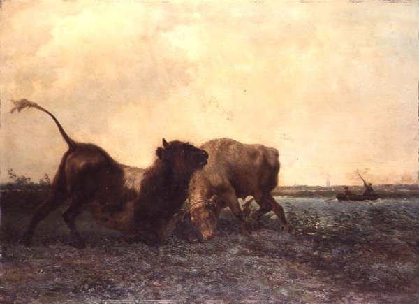 Toros Luchando de Jan Bedys Tom