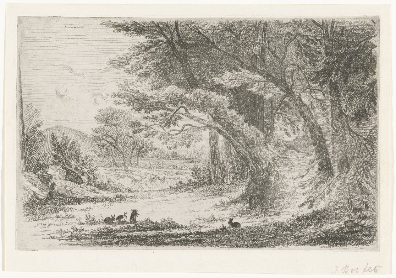 Borde del bosque con conejos de Jan Bos Wz. (signed by artist)