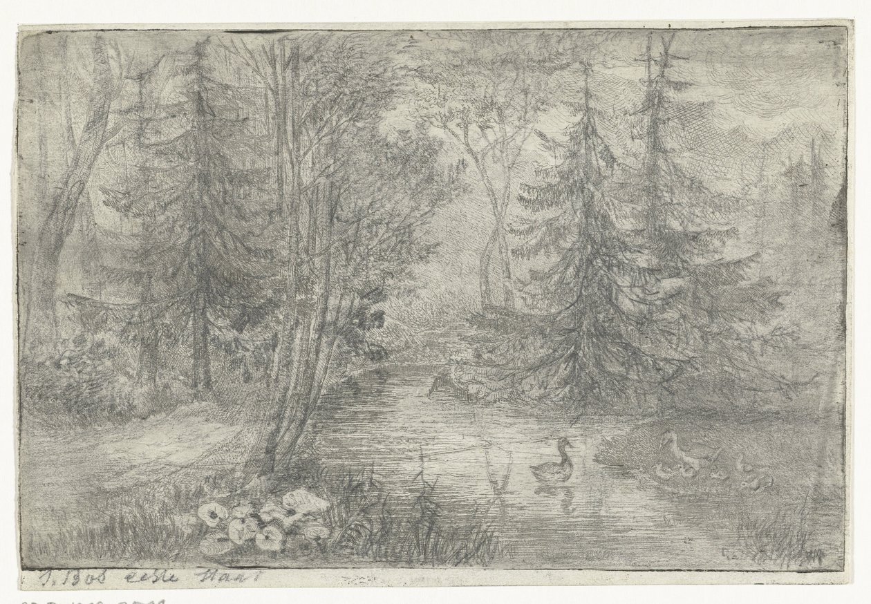 Estanque forestal con patos de Jan Bos Wz. (signed by artist)