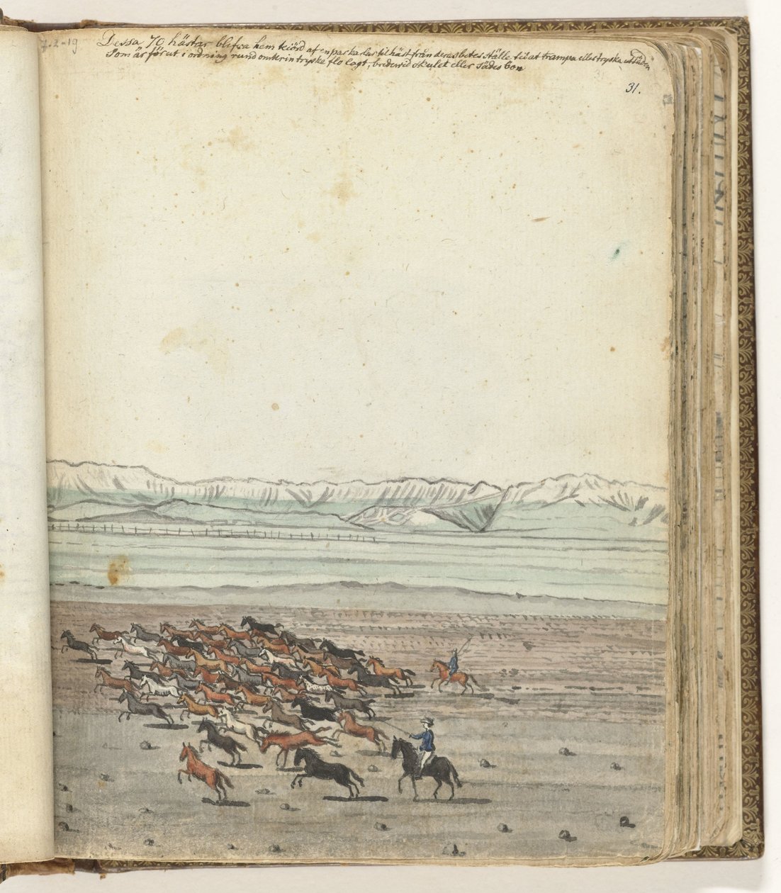 manada de caballos de Jan Brandes