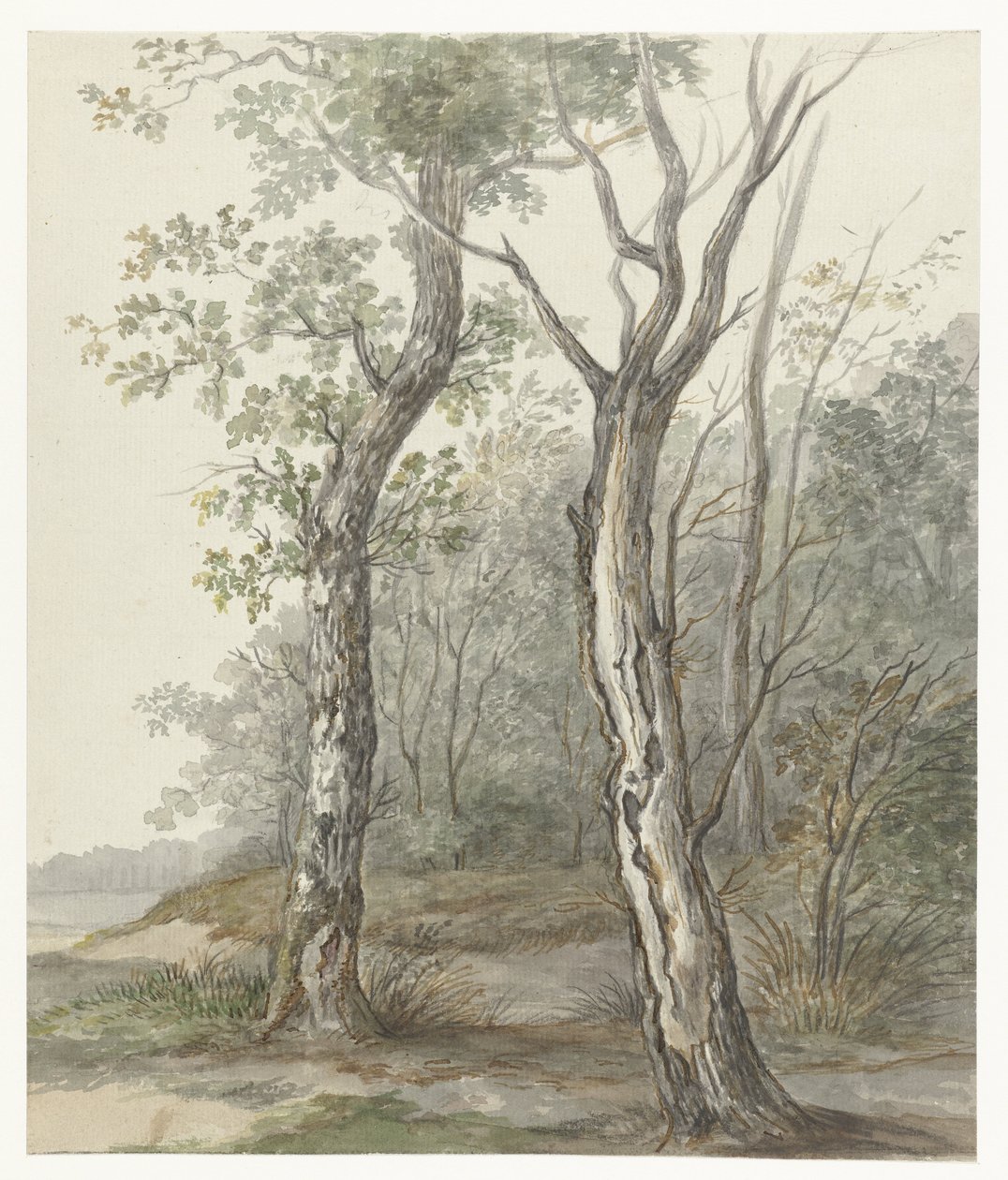 Paisaje forestal de Jan Dasveldt