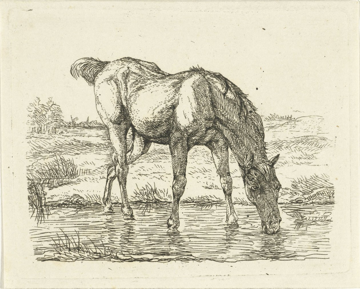 caballo bebiendo de Jan Dasveldt