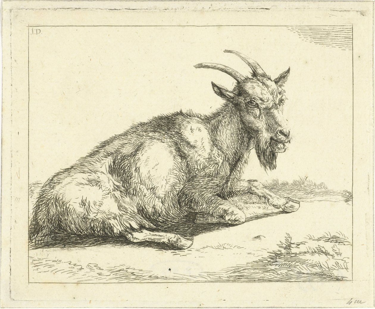 Cabra de Jan Dasveldt