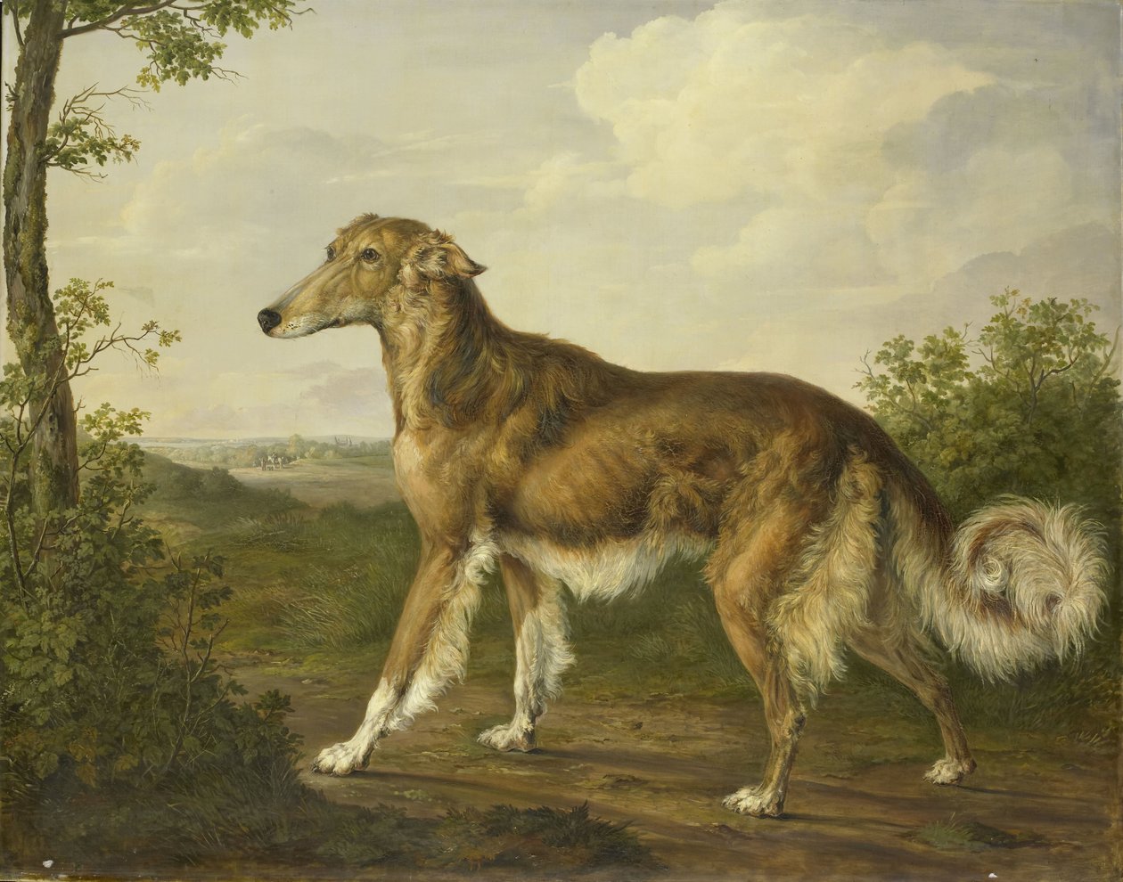 Galgo siberiano de Jan Dasveldt