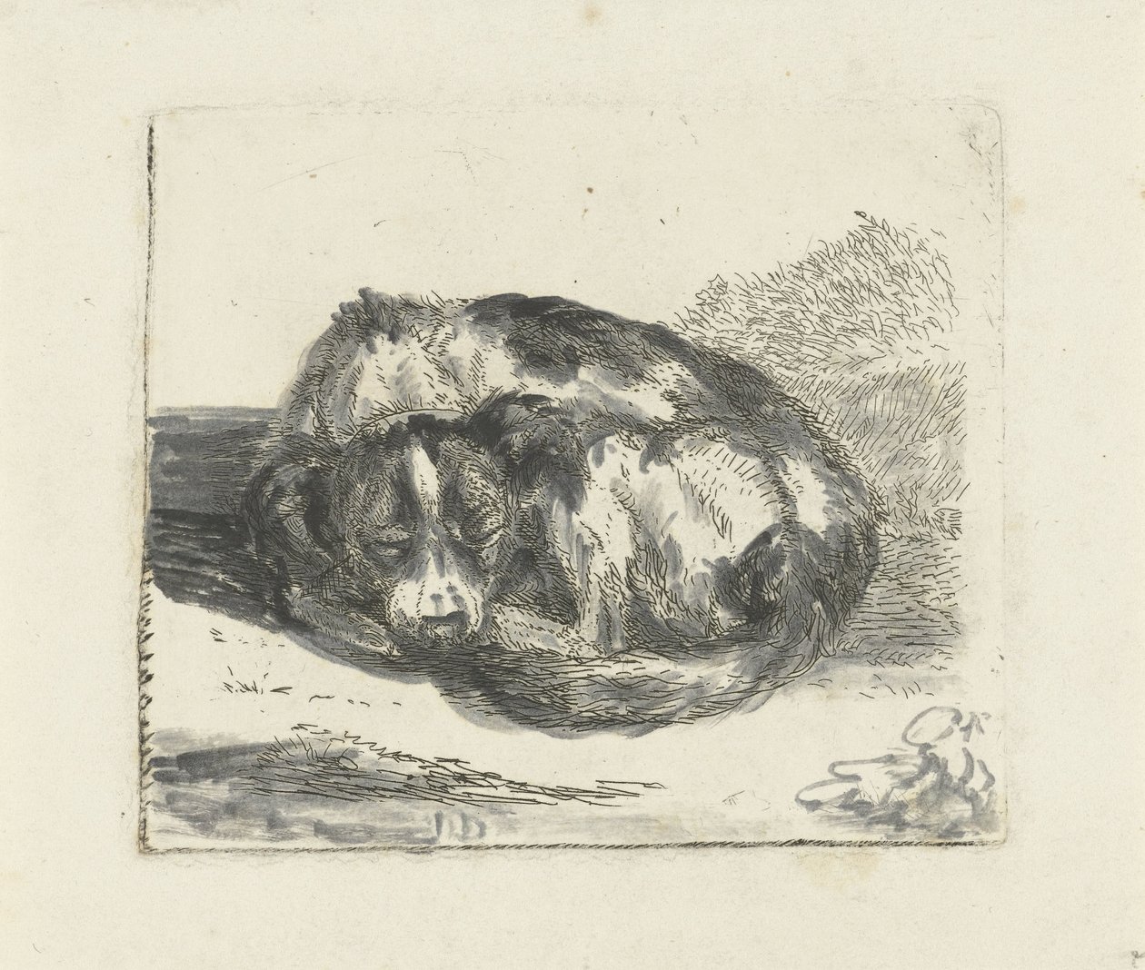 perro durmiendo de Jan Dasveldt