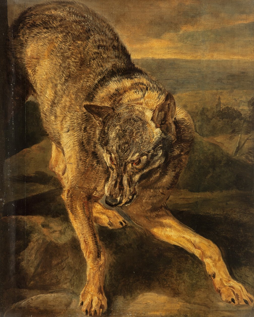Un lobo de Jan Fyt