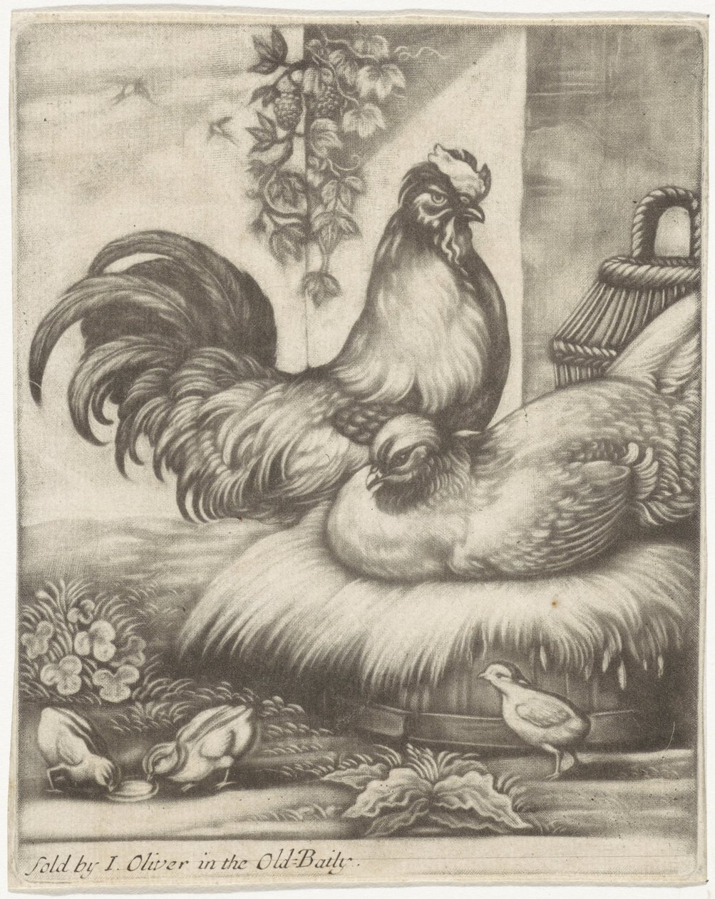 gallo y gallina de Jan Griffier (I)