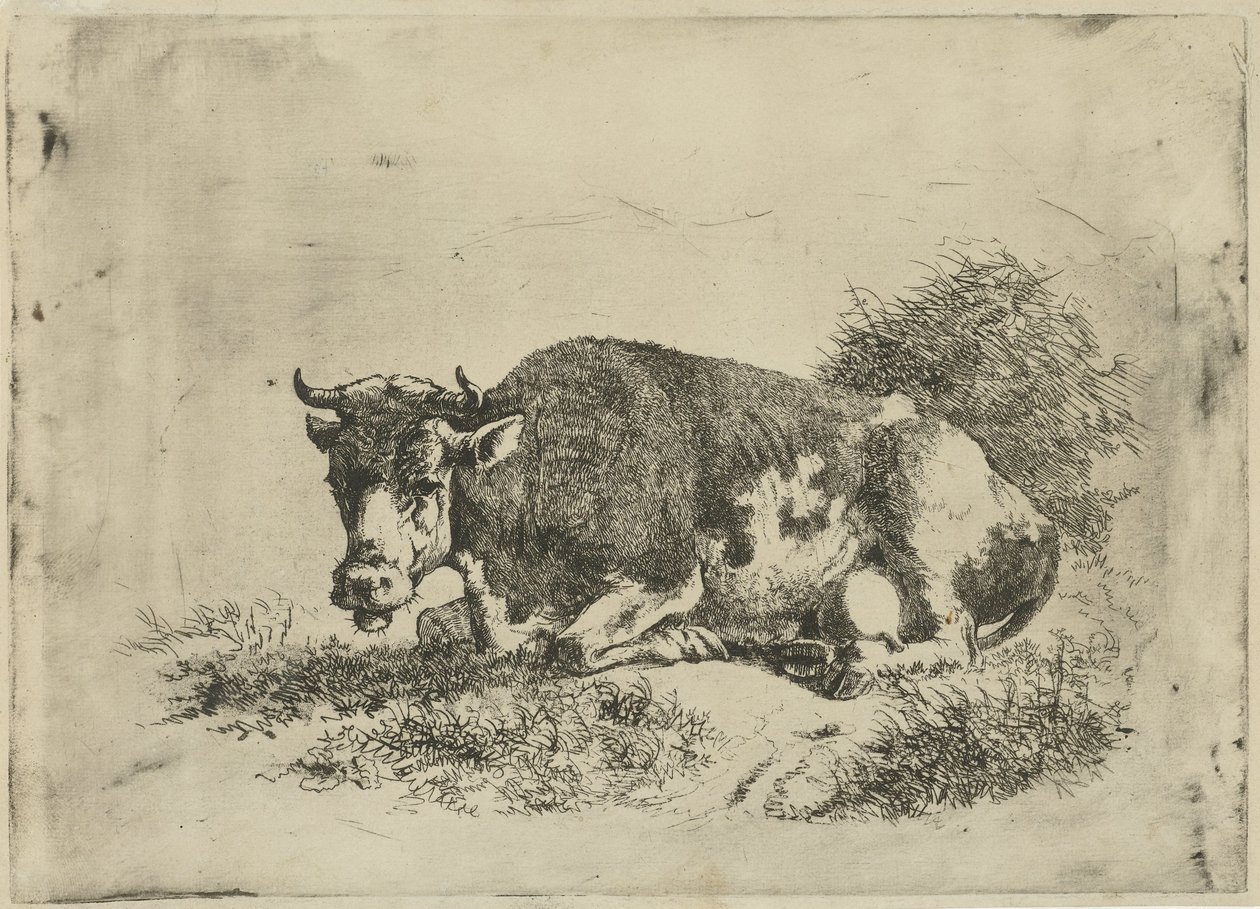 vaca mentirosa de Jan Kobell (III)