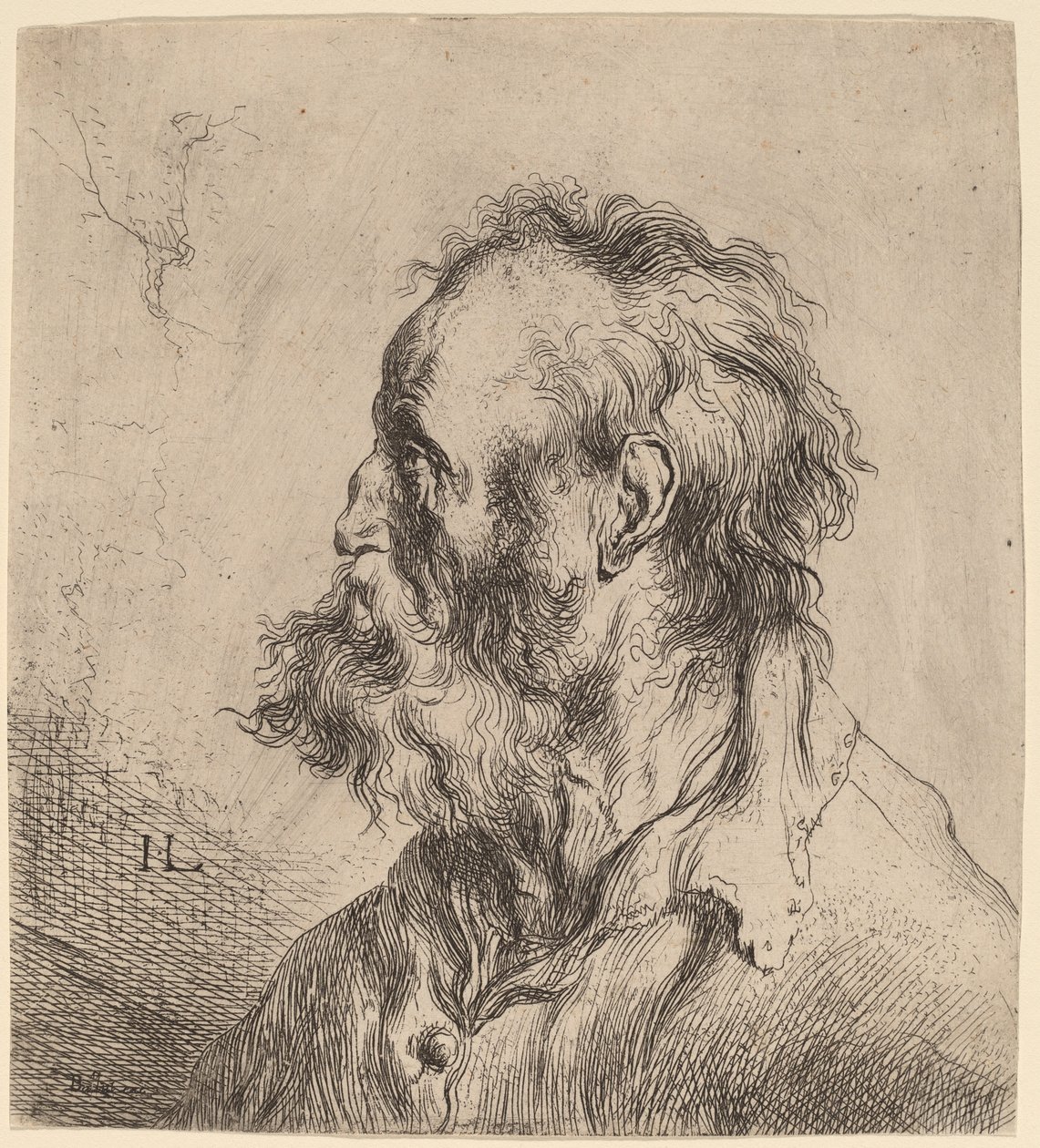 Busto de un anciano con barba de Jan Lievens