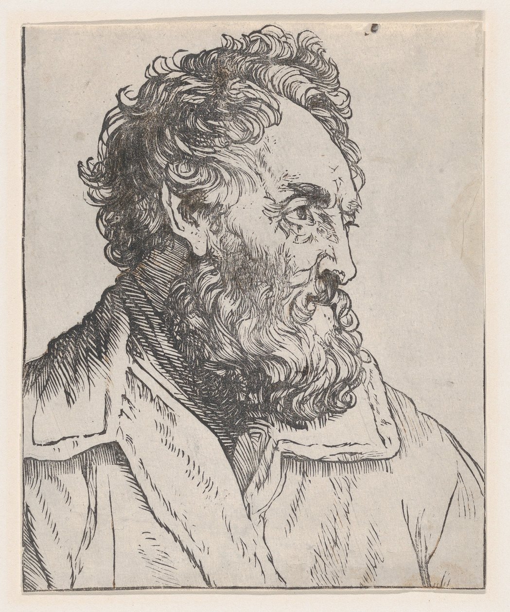 Cabeza de un hombre, siglo XVII de Jan Lievens