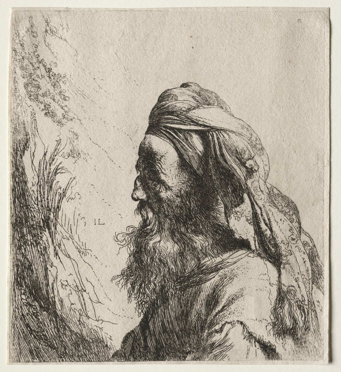 Cabeza de un oriental de Jan Lievens
