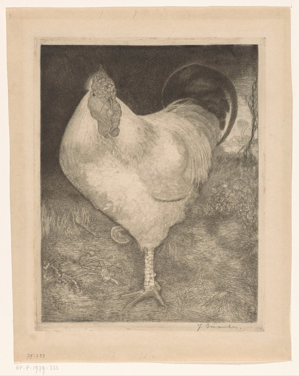 Gallo en una pata de Jan Mankes (signed by artist)
