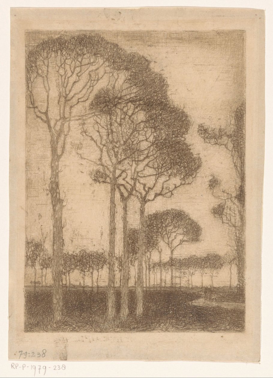 Árboles en el borde de Oranjewoud de Jan Mankes