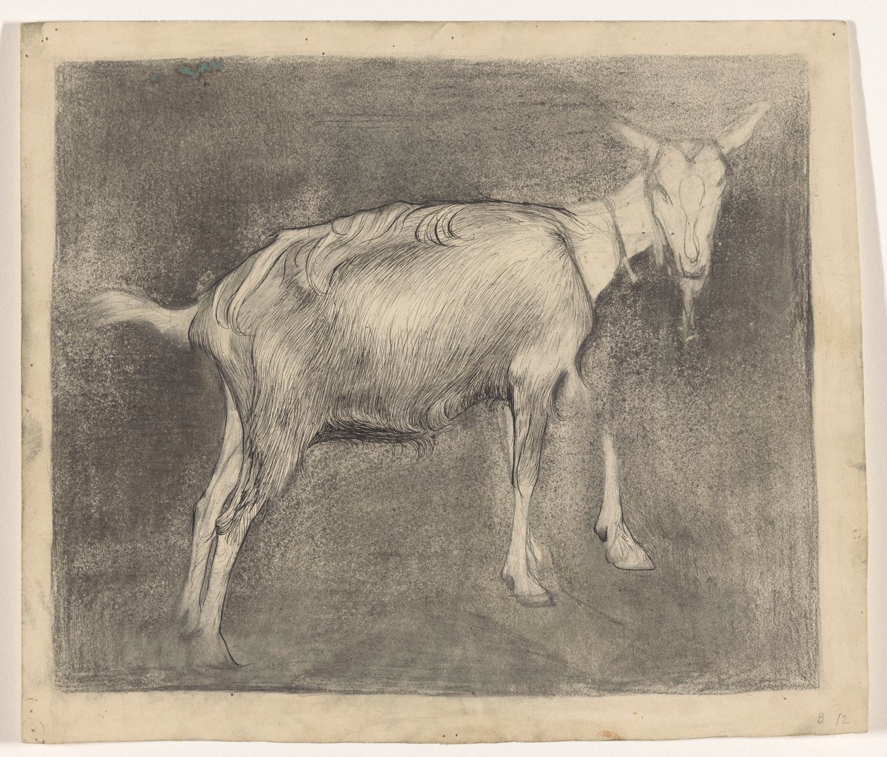 Cabra de pie de Jan Mankes
