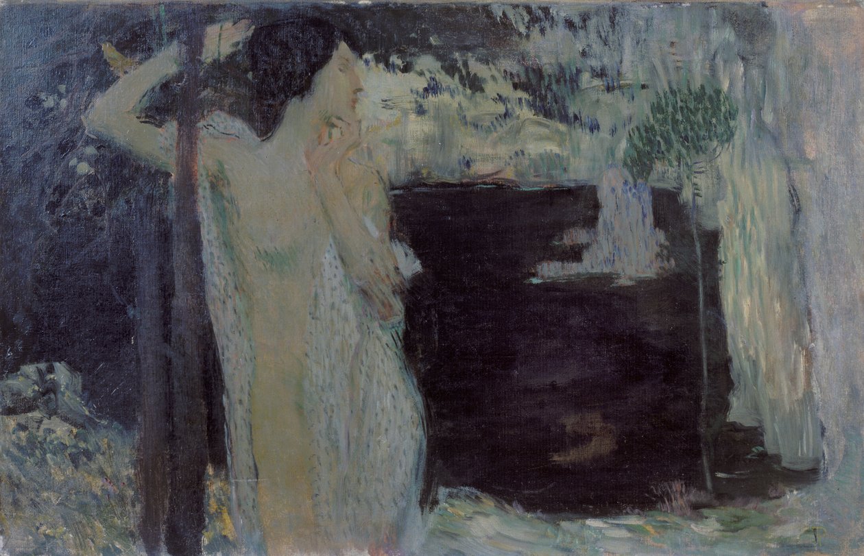 Mujer en el Lago Negro, 1904 de Jan Preisler