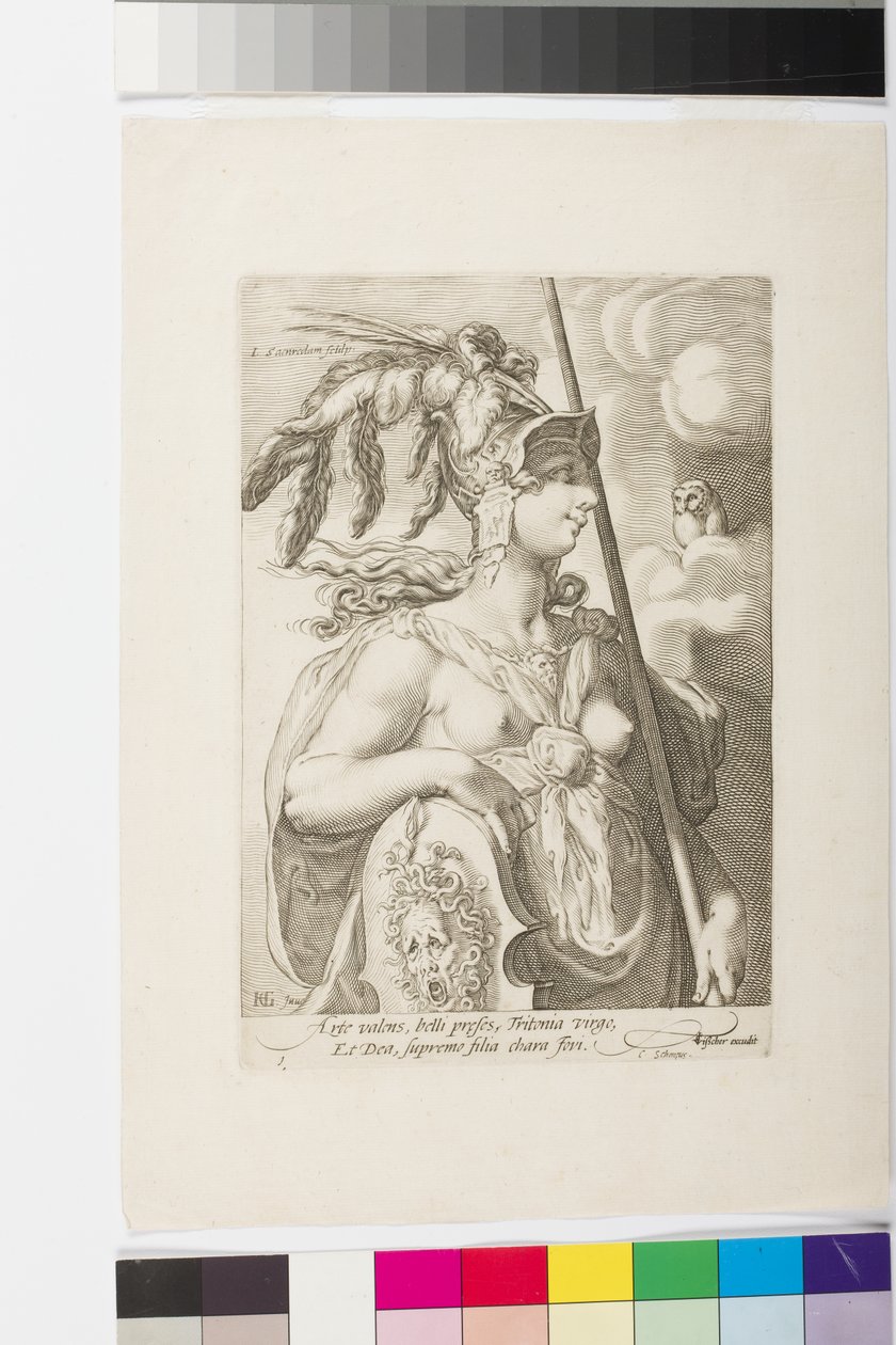 Minerva de Jan Saenredam