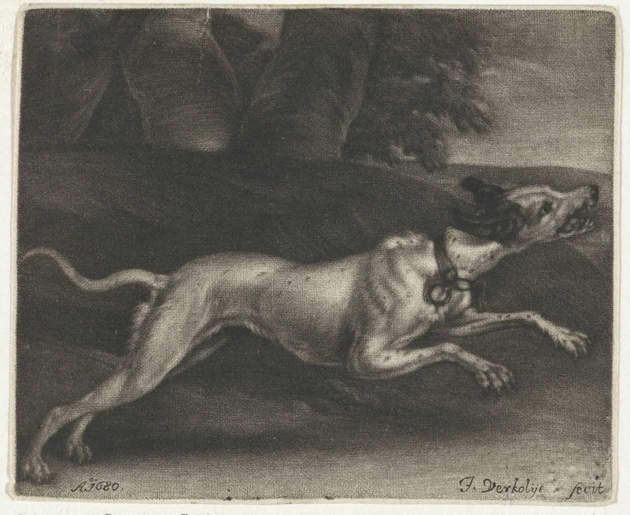 perro corriendo de Jan Verkolje (I)