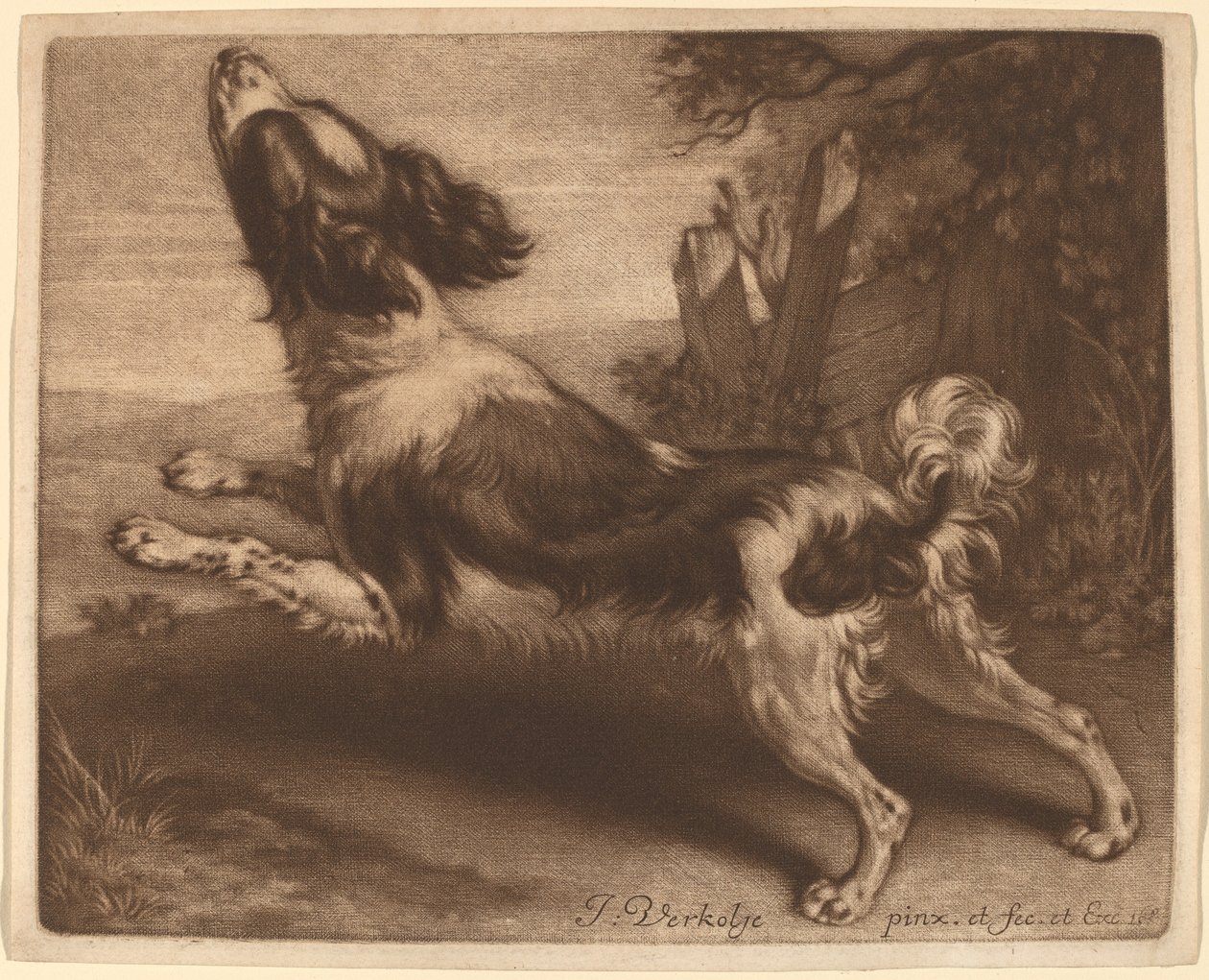 Un spaniel saltando de Jan Verkolje I