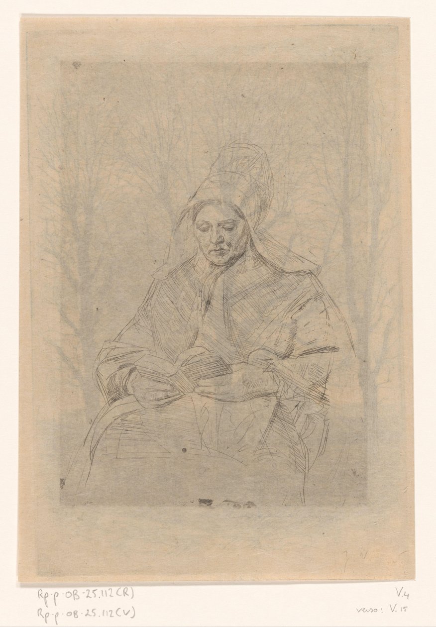 Lectura de la mujer campesina de Jan Veth