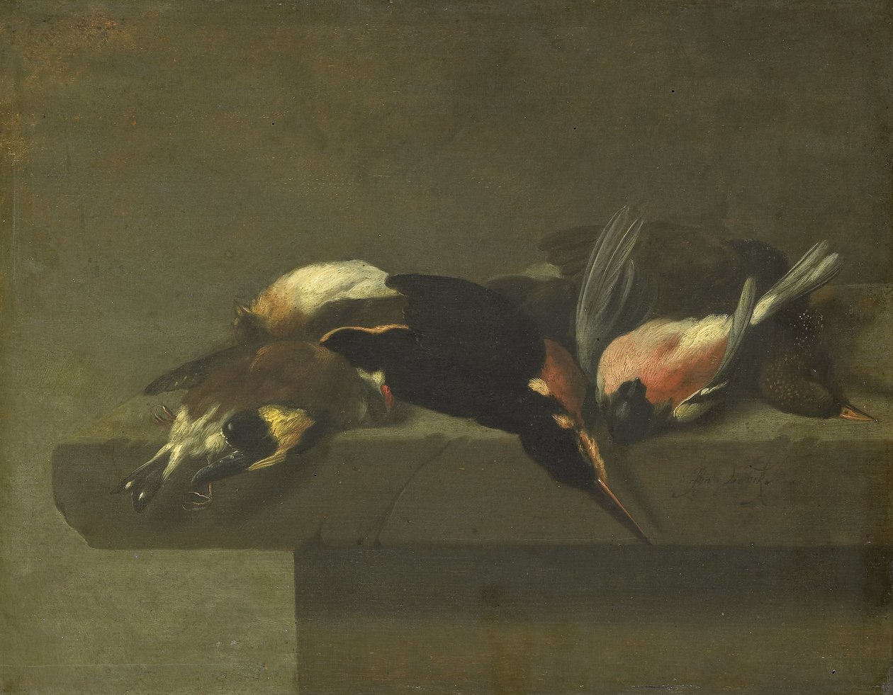 Pájaros muertos de Jan Vonck